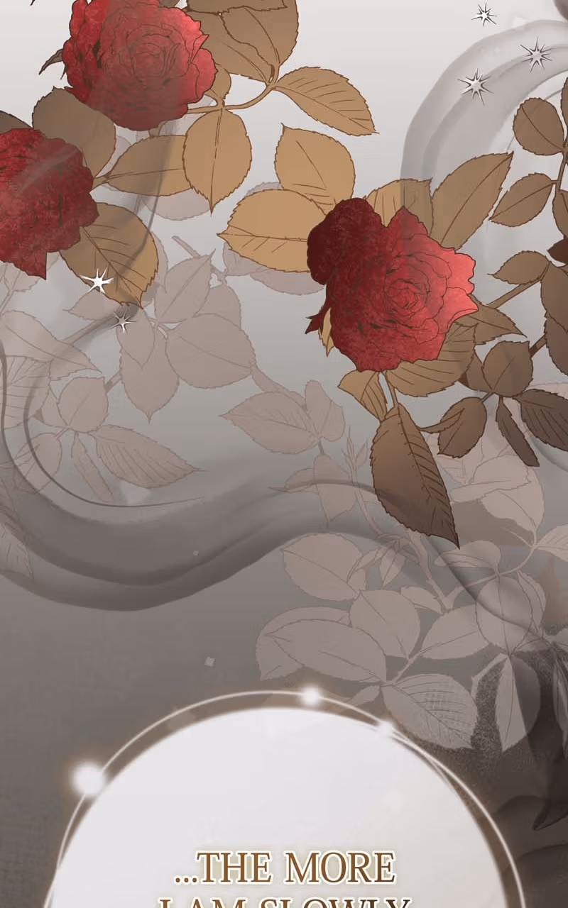 The Cursed Beauty Chapter 3 page 71 - 