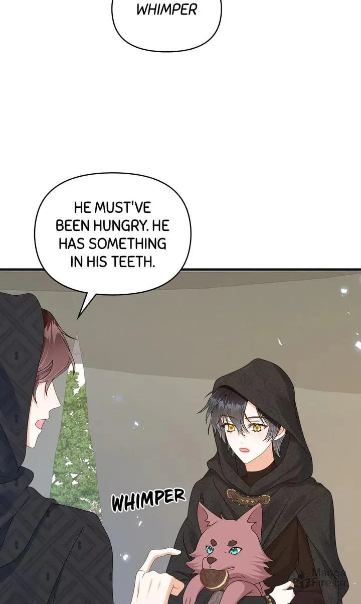 The Daddy Dilemma Chapter 70 page 65 - 