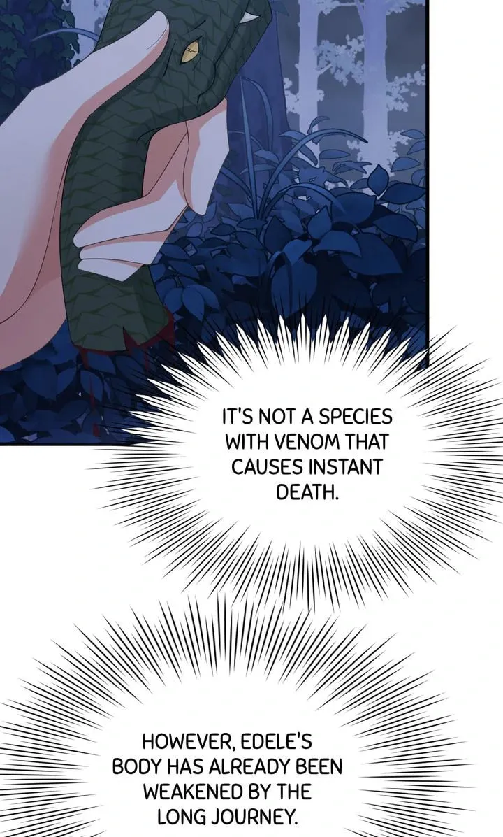 The Daddy Dilemma Chapter 78 page 44 - 