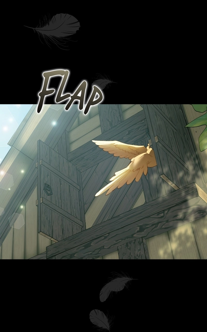 The Dark Duke's Pet Bird Chapter 58 page 47 - 