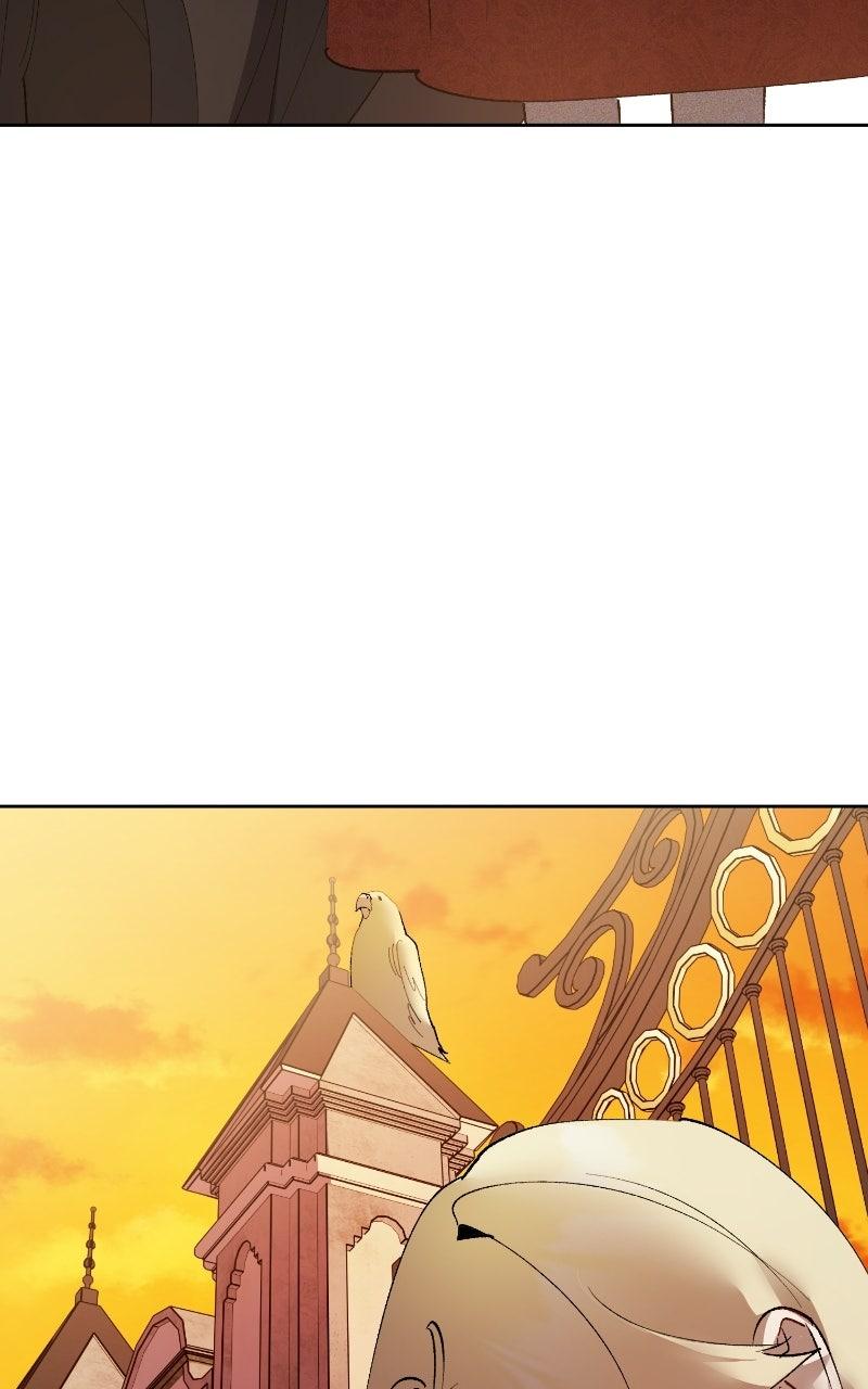 The Dark Duke's Pet Bird Chapter 59 page 53 - 