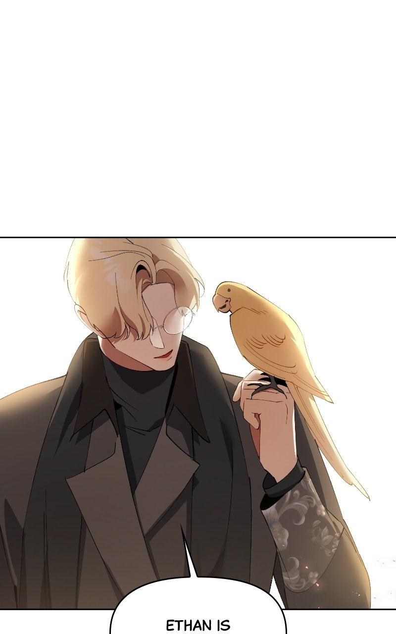 The Dark Duke's Pet Bird Chapter 59 page 59 - 