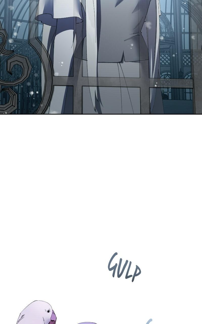 The Dark Duke's Pet Bird Chapter 60 page 65 - 