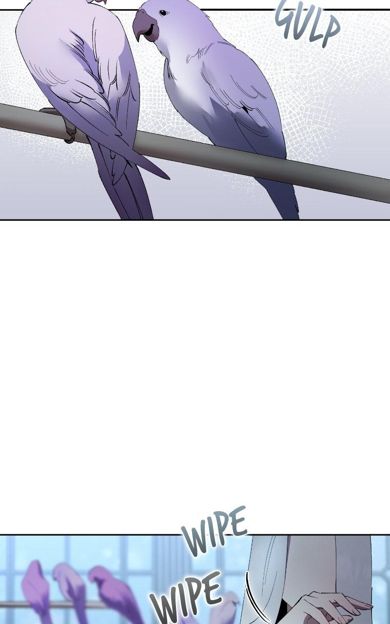 The Dark Duke's Pet Bird Chapter 60 page 66 - 