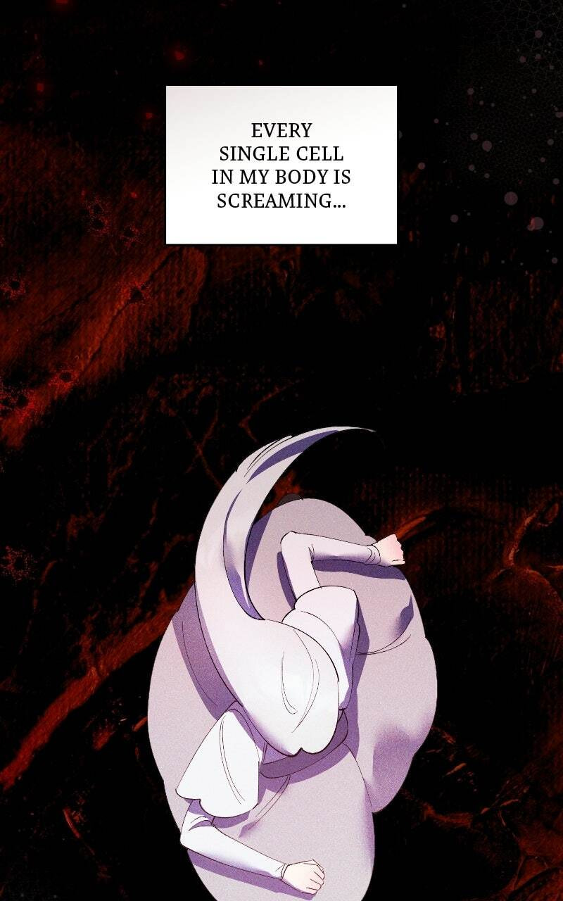 The Dark Duke's Pet Bird Chapter 59 page 19 - 