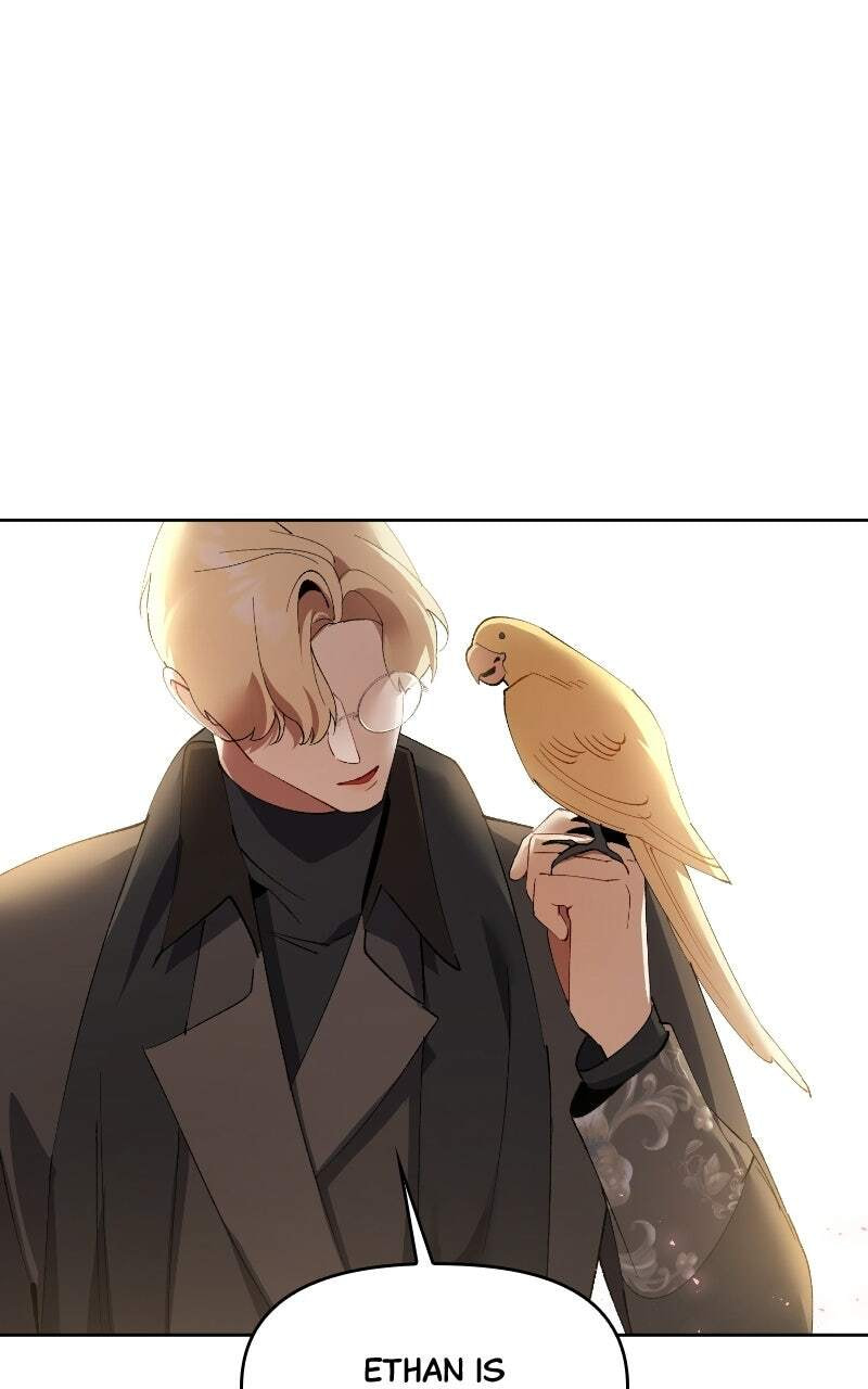 The Dark Duke's Pet Bird Chapter 59 page 59 - 