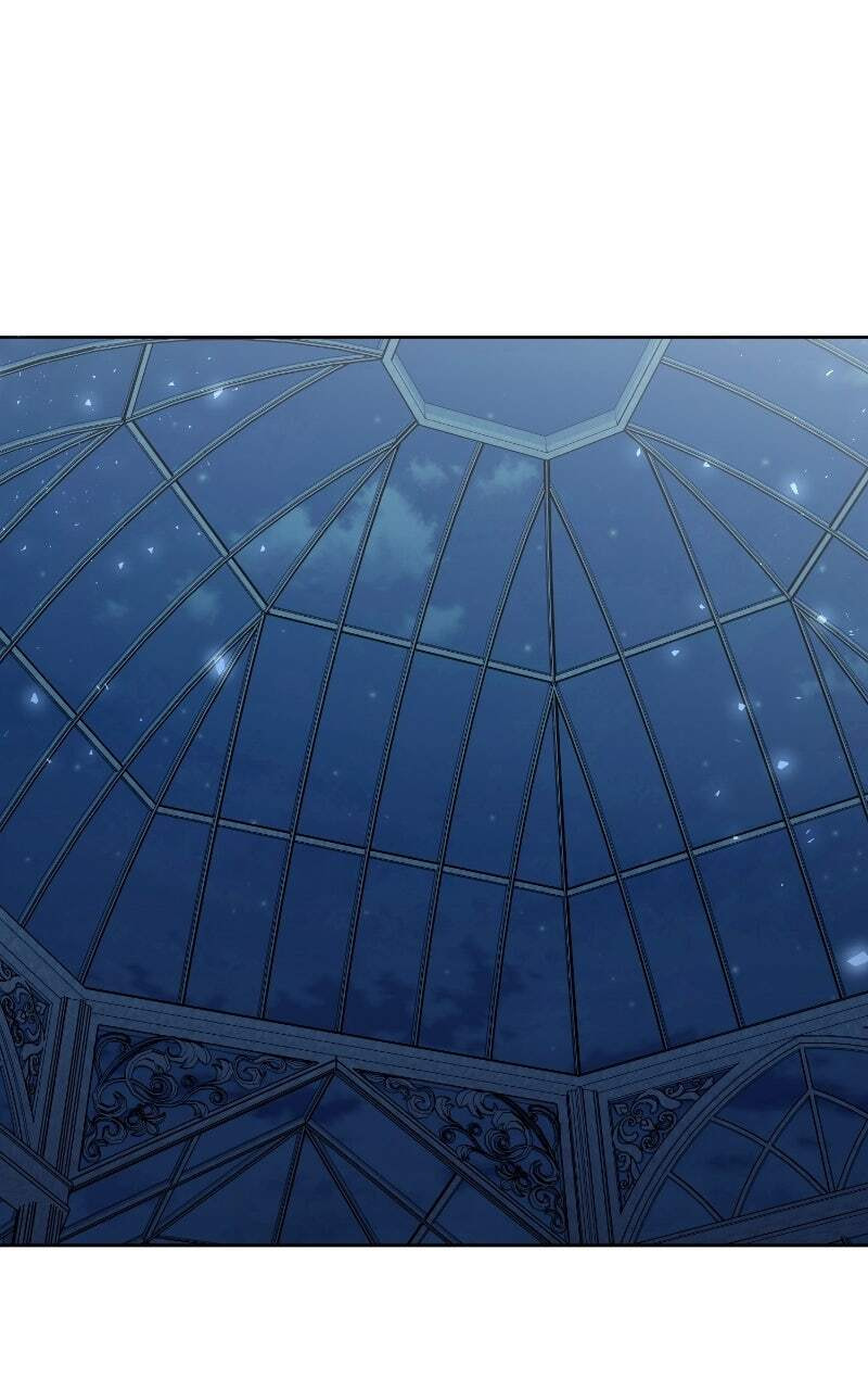 The Dark Duke's Pet Bird Chapter 59 page 72 - 