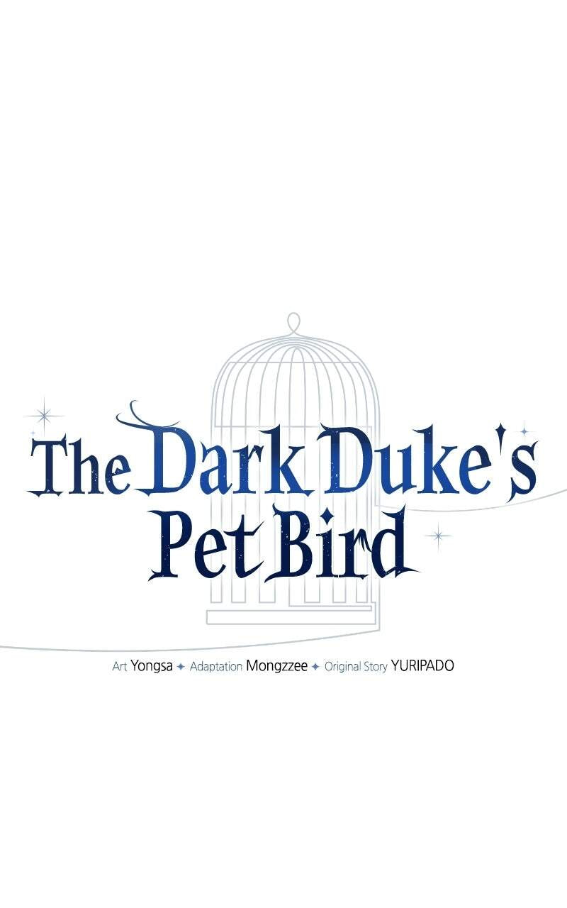 The Dark Duke's Pet Bird Chapter 60 page 58 - 