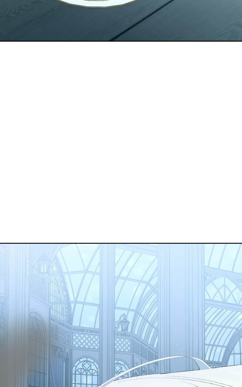 The Dark Duke's Pet Bird Chapter 60 page 60 - 