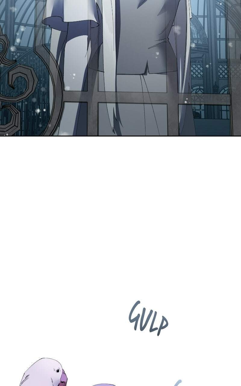 The Dark Duke's Pet Bird Chapter 60 page 65 - 