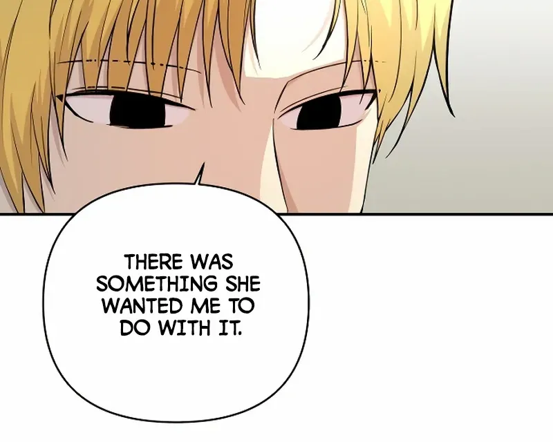 The Demon Emperor Desires a Hero Chapter 9 page 28 - 
