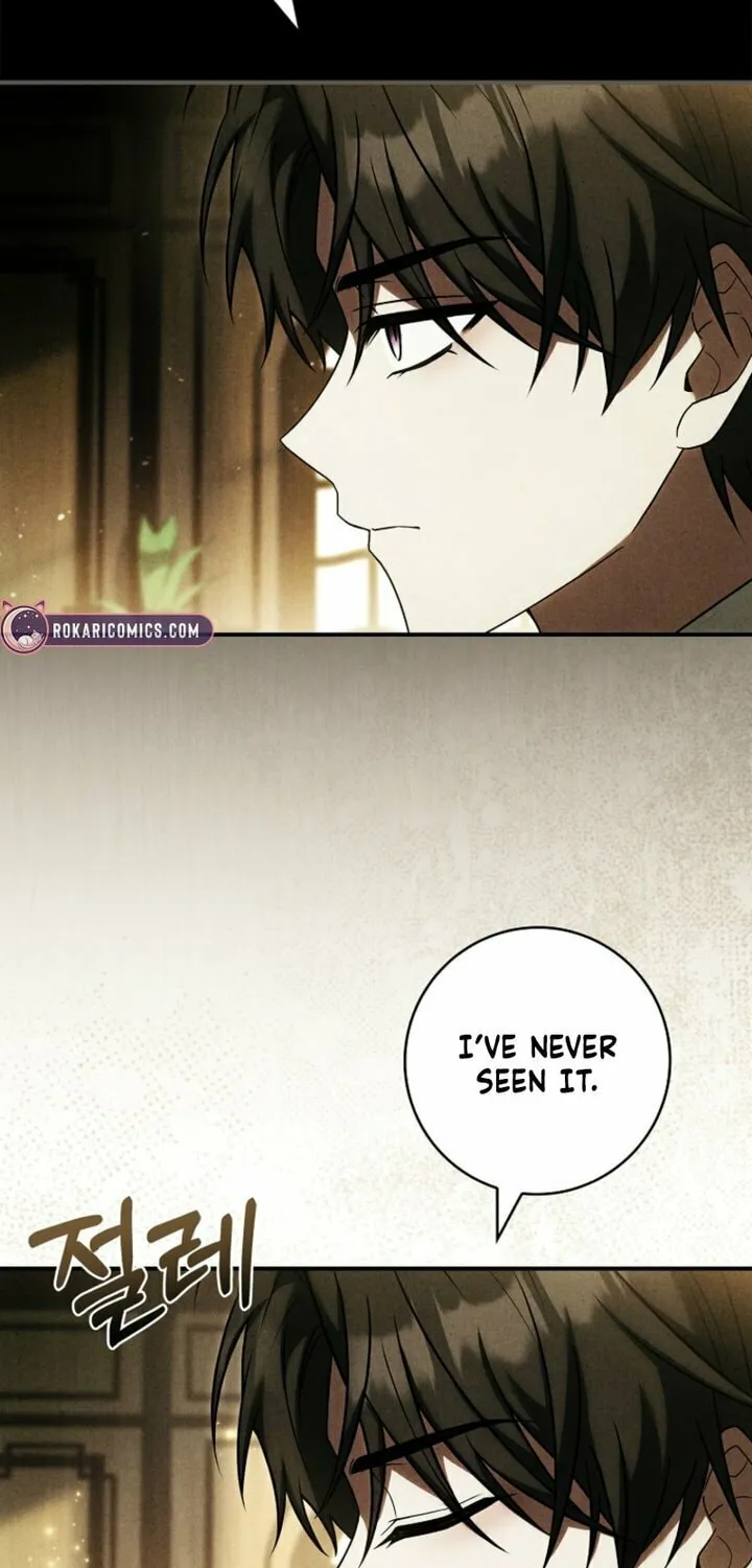 The Detective Agency for Regretful Male Leads Is Open for Business! Chapter 13 page 10 - 