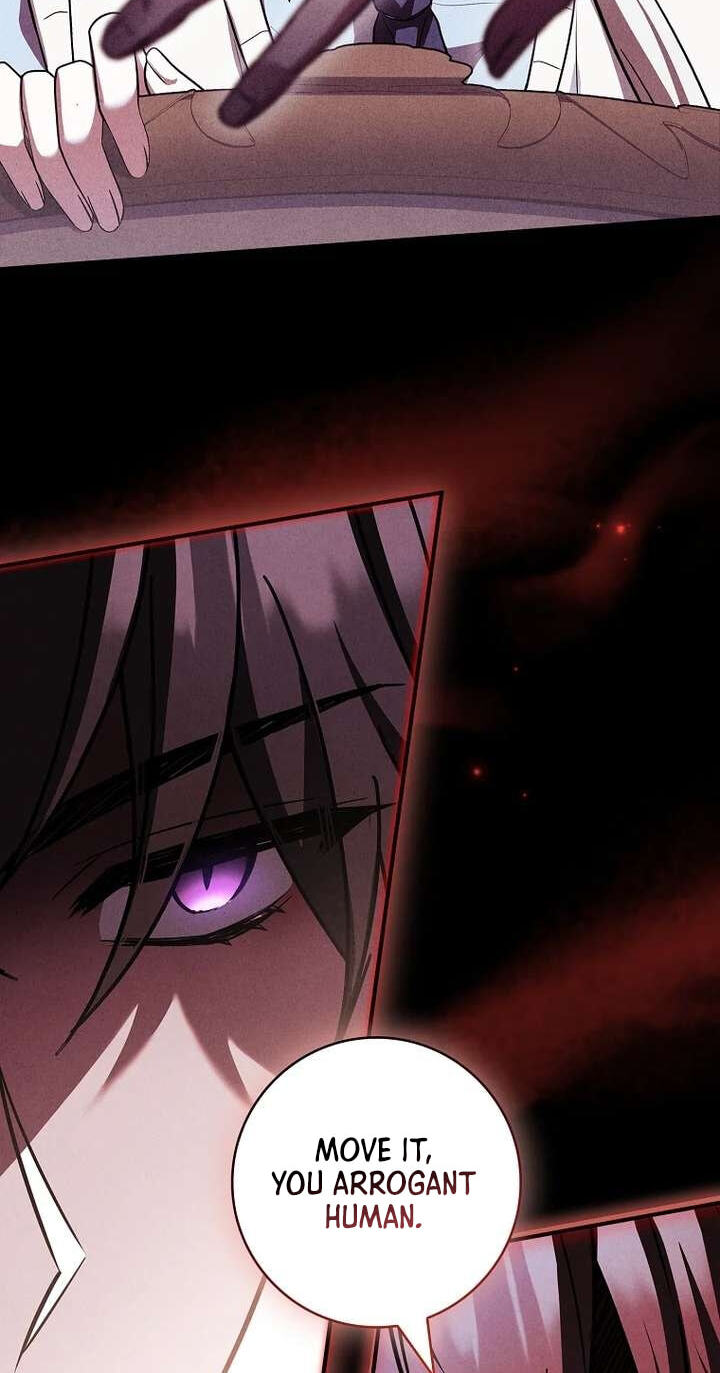 The Detective Agency for Regretful Male Leads Is Open for Business! Chapter 49 page 64 - 
