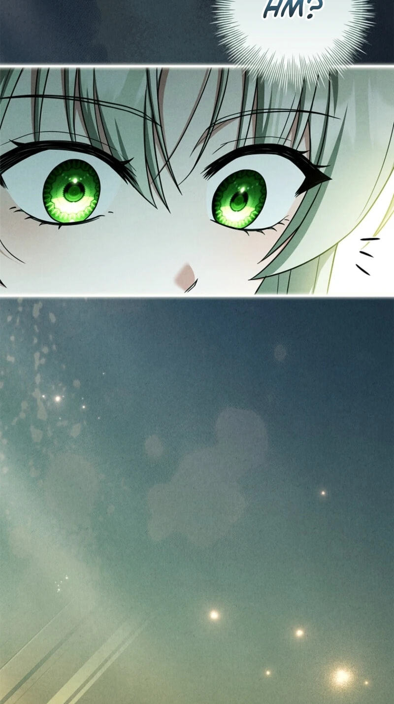 The Detective Agency for Regretful Male Leads Is Open for Business! Chapter 52 page 87 - 