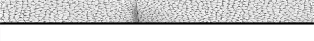 The Devil Plays Games Chapter 59 page 33 - 