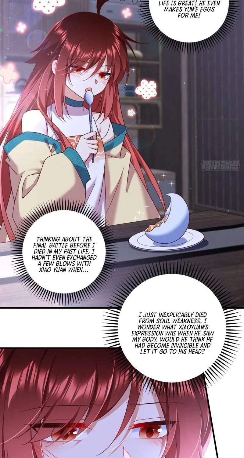 The Distinguished Cute Master Chapter 333 page 41 - 
