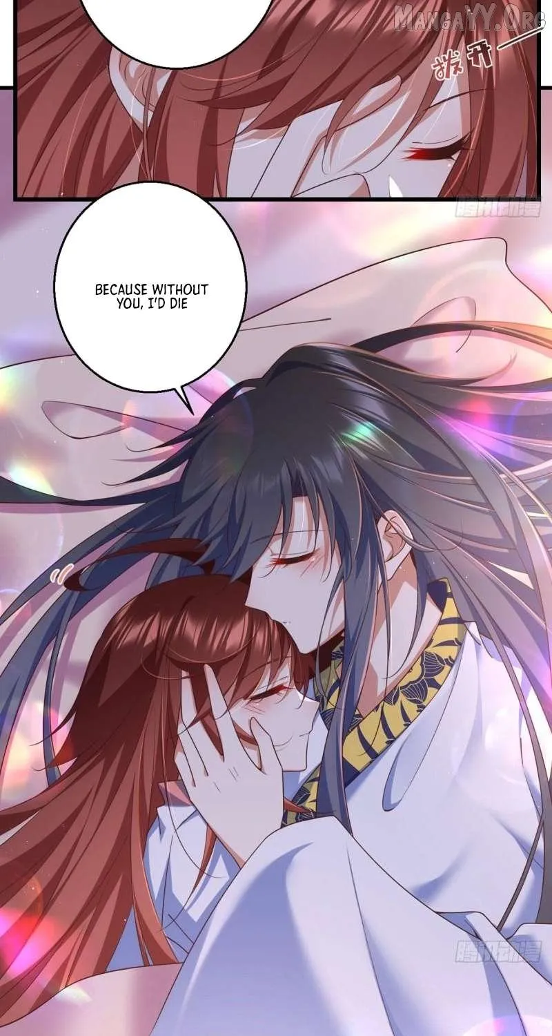 The Distinguished Cute Master Chapter 335 page 15 - 