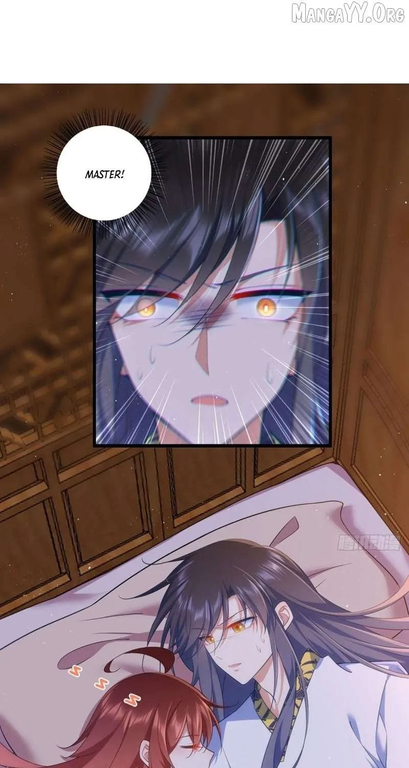 The Distinguished Cute Master Chapter 335 page 5 - 