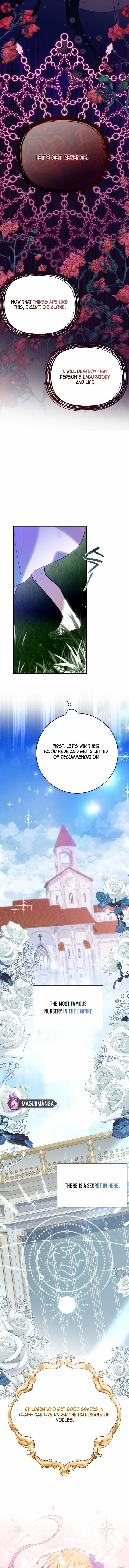 The Doomed House's Contract Daughter Chapter 2 page 12 - 