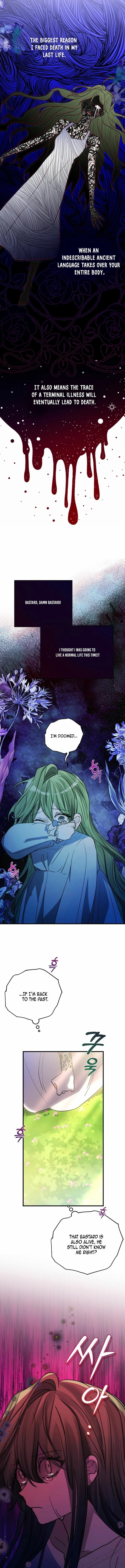 The Doomed House's Contract Daughter Chapter 2 page 4 - 