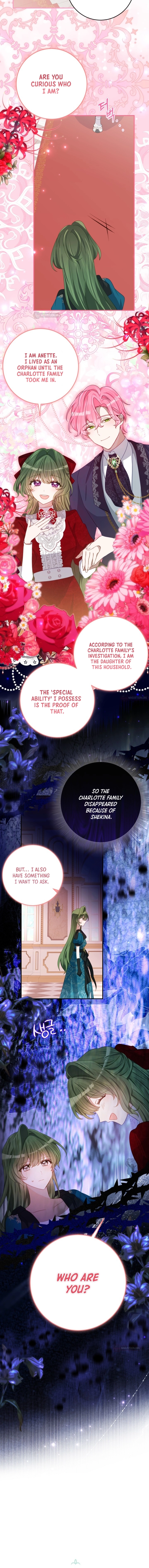 The Doomed House's Contract Daughter Chapter 71 page 3 - 
