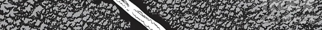 The Dreaming Chapter 1 page 14 - 