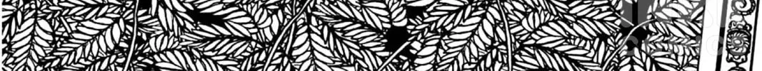 The Dreaming Chapter 13 page 2 - 