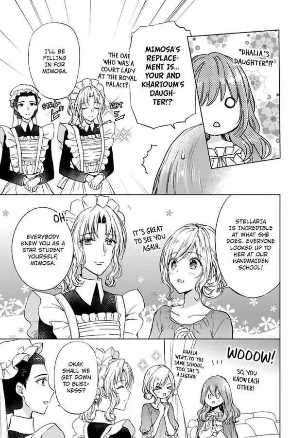 The Duchess Of Rosia -A Contract Marriage? How Did This Happen!?- Chapter 28 page 9 - 