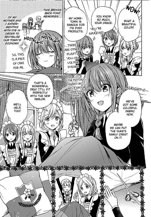 The Duchess Of Rosia -A Contract Marriage? How Did This Happen!?- Chapter 3 page 9 - 