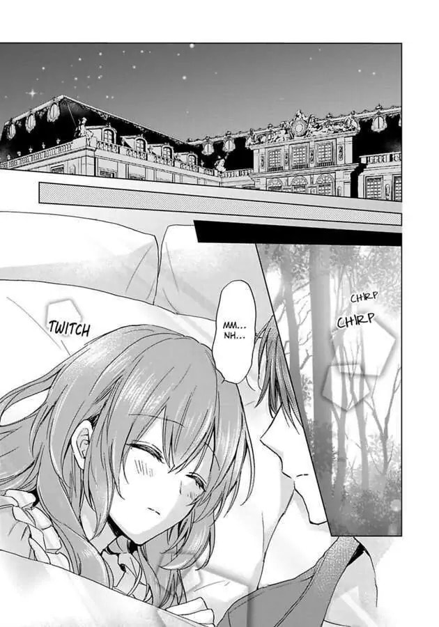 The Duchess Of Rosia -A Contract Marriage? How Did This Happen!?- Chapter 30 page 11 - 