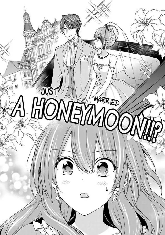 The Duchess Of Rosia -A Contract Marriage? How Did This Happen!?- Chapter 31 page 11 - 