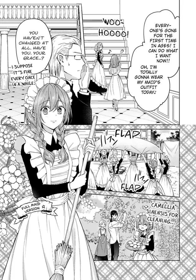 The Duchess Of Rosia -A Contract Marriage? How Did This Happen!?- Chapter 44 page 11 - 