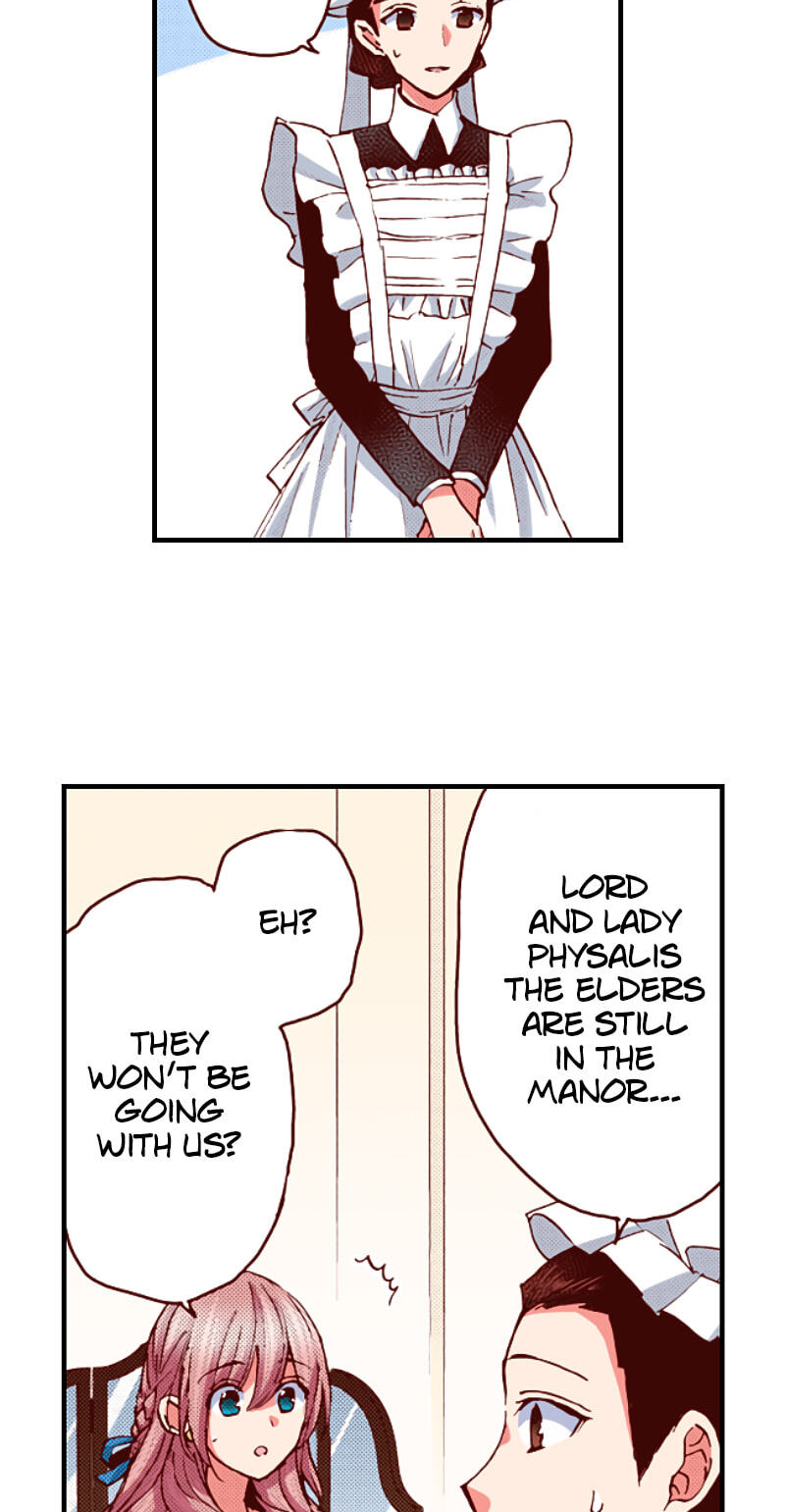 The Duchess Of Rosia -A Contract Marriage? How Did This Happen!?- Chapter 62 page 12 - 