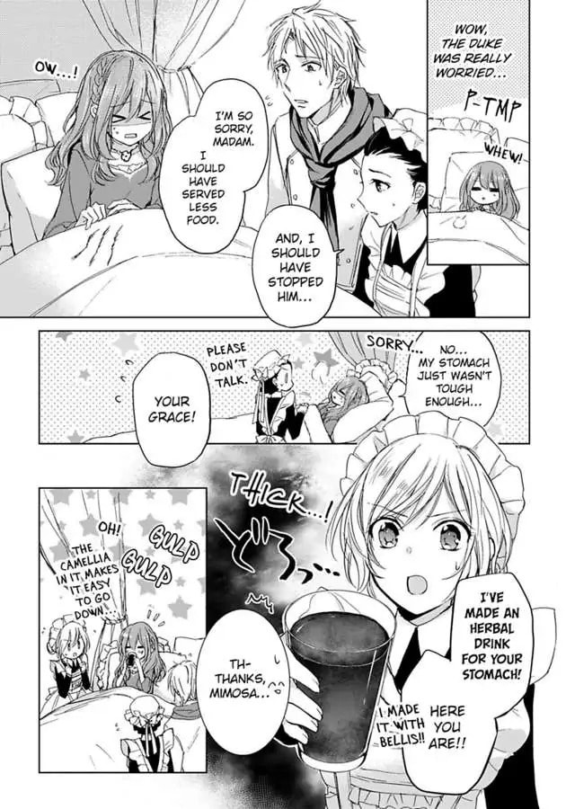 The Duchess Of Rosia -A Contract Marriage? How Did This Happen!?- Chapter 8 page 17 - 