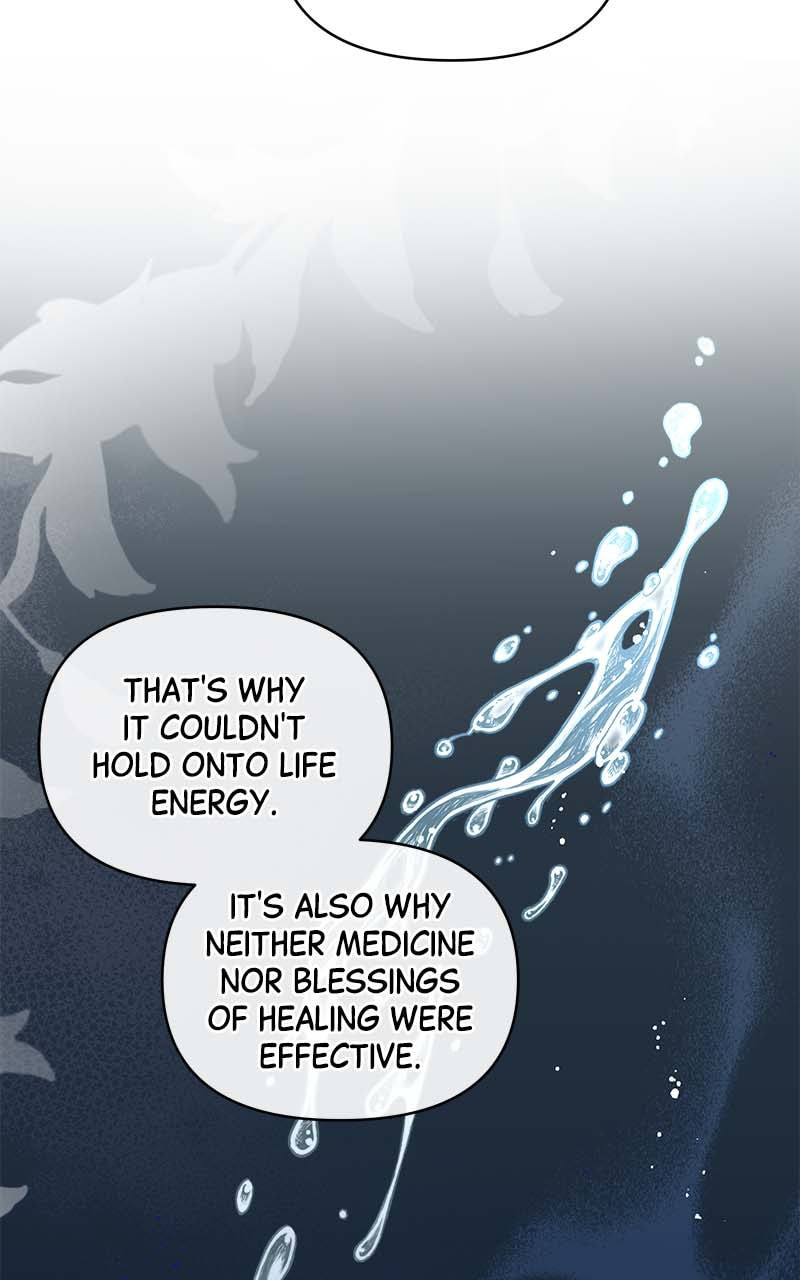 The Duke's Cursed Charm Chapter 49 page 5 - 