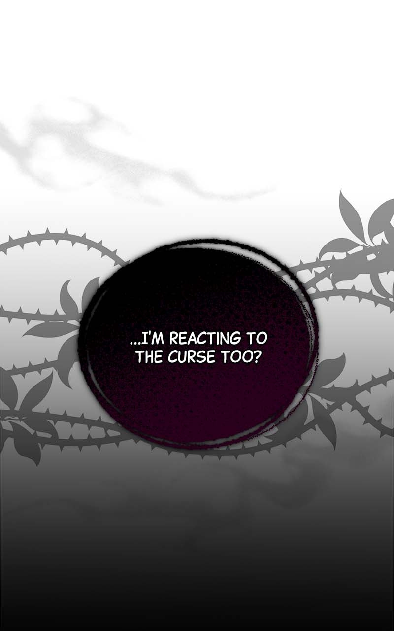 The Duke's Cursed Charm Chapter 51 page 70 - 