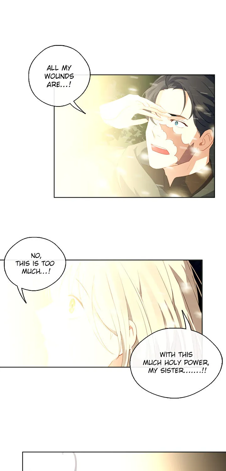 The Emperor's Partner Chapter 39 page 39 - 