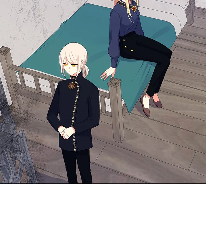 The Emperor's Partner Chapter 49 page 18 - 