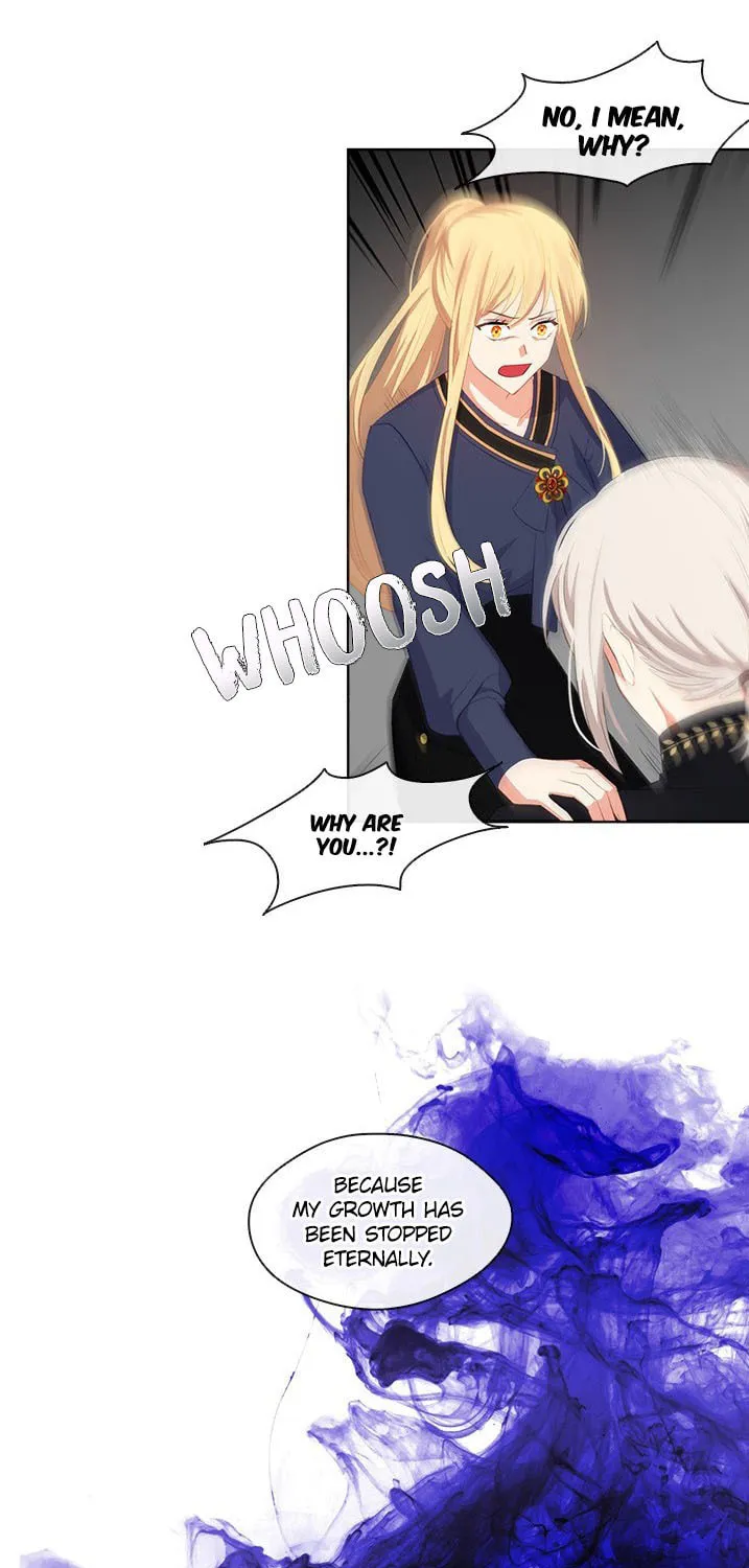 The Emperor's Partner Chapter 49 page 35 - 