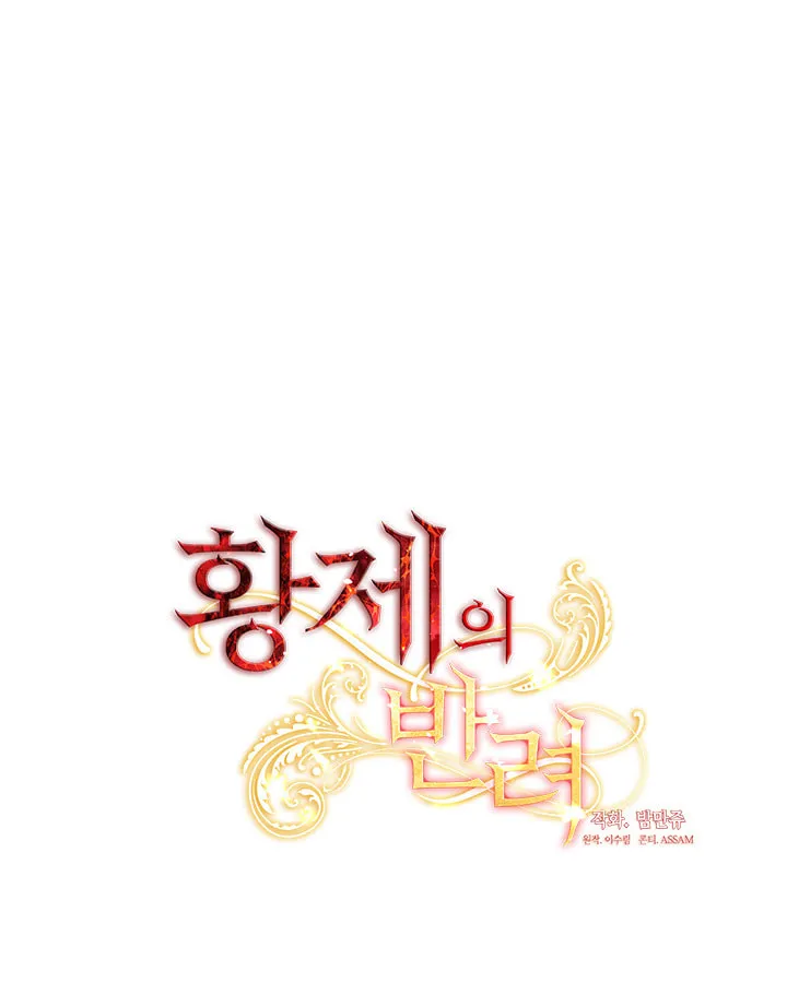 The Emperor's Partner Chapter 73 page 17 - 