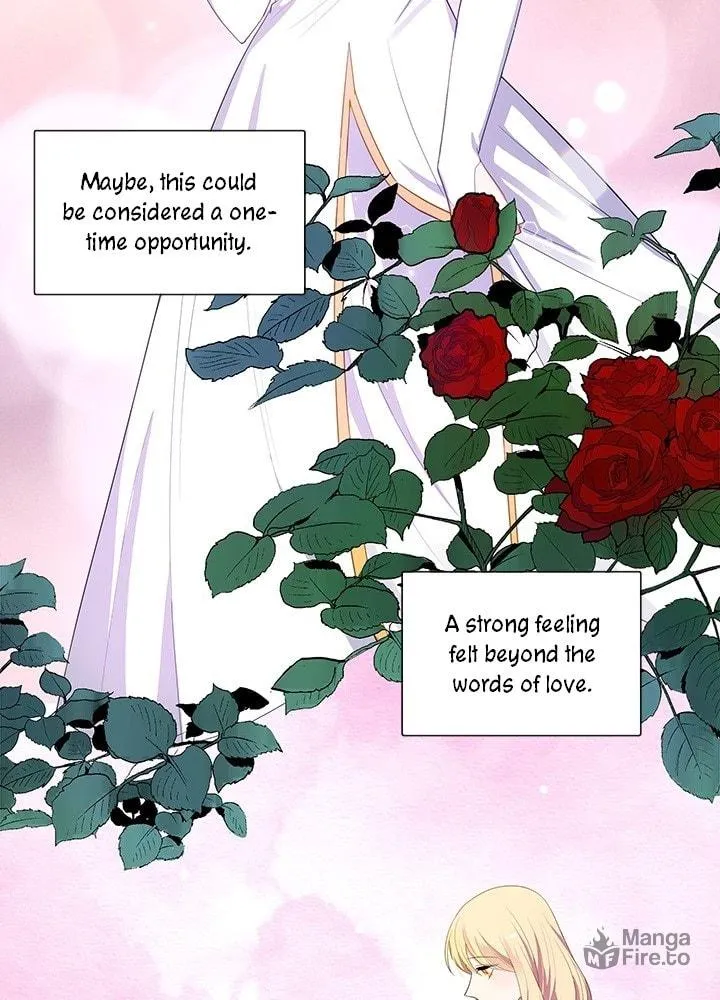 The Emperor's Partner Chapter 73 page 4 - 