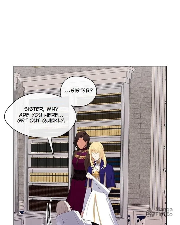 The Emperor's Partner Chapter 73 page 45 - 