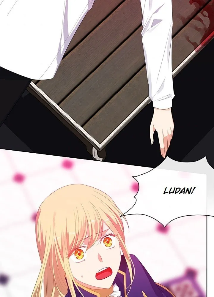 The Emperor's Partner Chapter 74 page 2 - 
