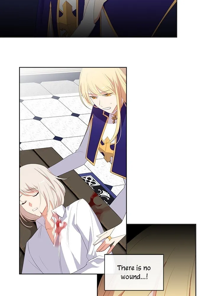The Emperor's Partner Chapter 74 page 8 - 