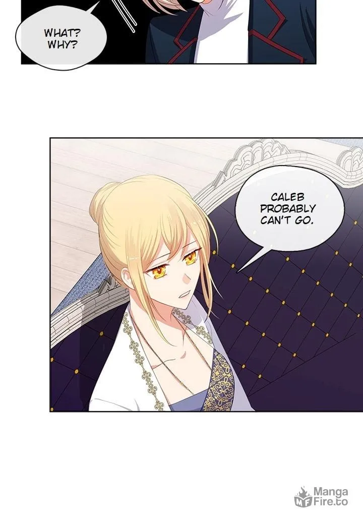 The Emperor's Partner Chapter 76 page 45 - 