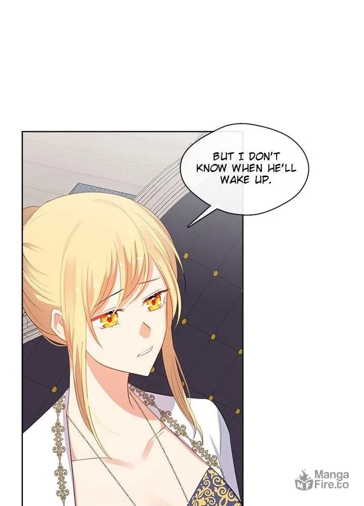 The Emperor's Partner Chapter 76 page 48 - 