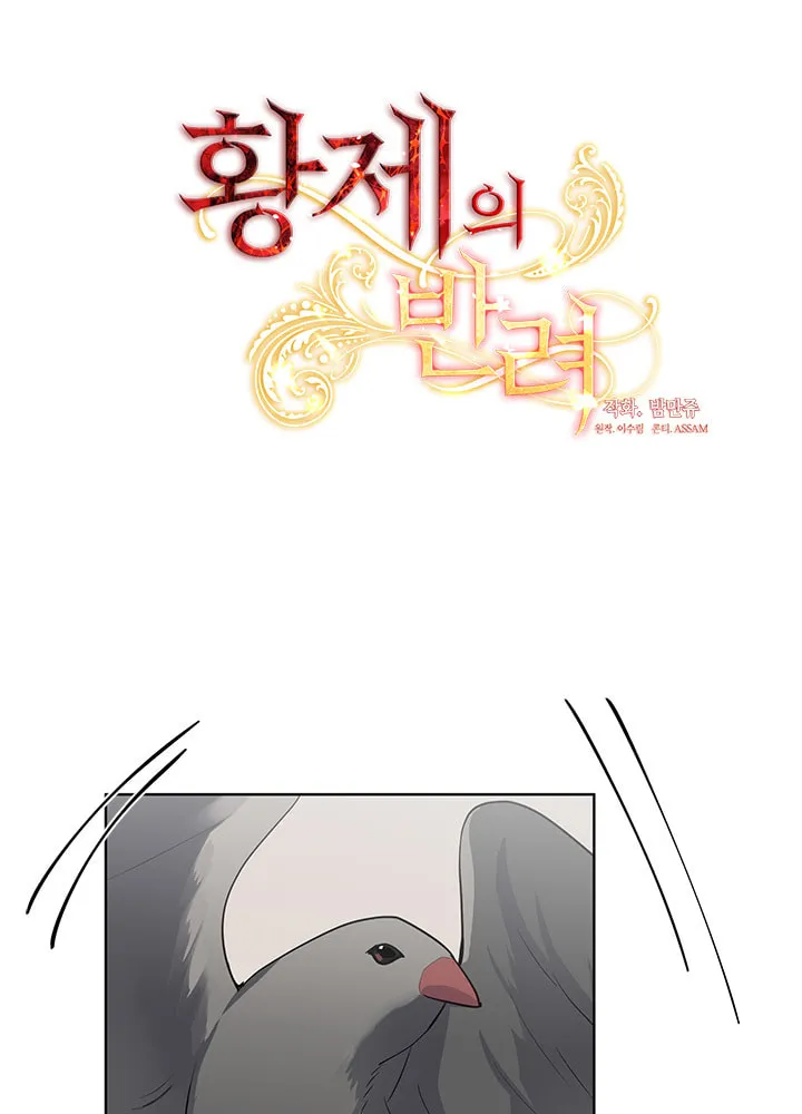The Emperor's Partner Chapter 82 page 5 - 
