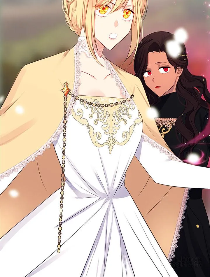 The Emperor's Partner Chapter 83 page 59 - 