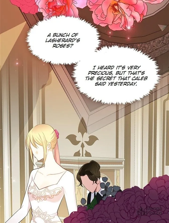 The Emperor's Partner Chapter 84 page 56 - 