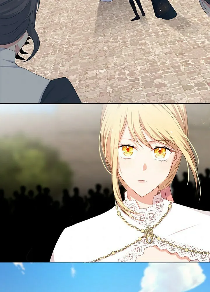 The Emperor's Partner Chapter 85 page 2 - 